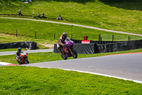 cadwell-no-limits-trackday;cadwell-park;cadwell-park-photographs;cadwell-trackday-photographs;enduro-digital-images;event-digital-images;eventdigitalimages;no-limits-trackdays;peter-wileman-photography;racing-digital-images;trackday-digital-images;trackday-photos